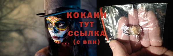 эйфоретик Ельня