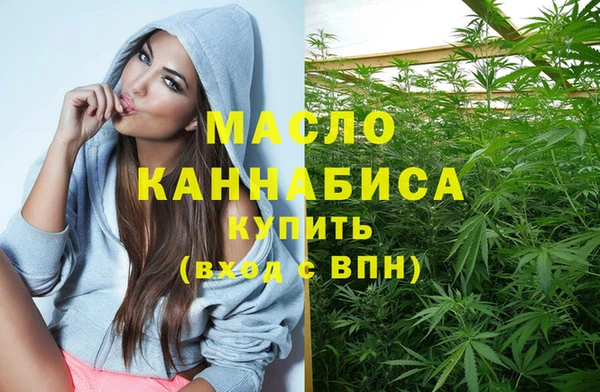 эйфоретик Ельня