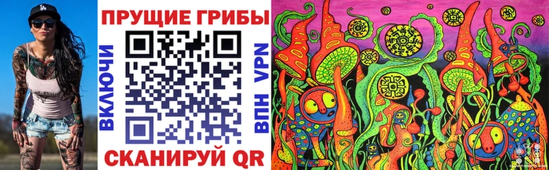 Псилоцибиновые грибы Psilocybine cubensis  Светогорск 